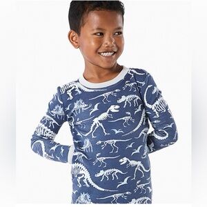 Pottery Barn Kids Organic Cotton Dinosaur Skeleton Glow In Dark Pajamas